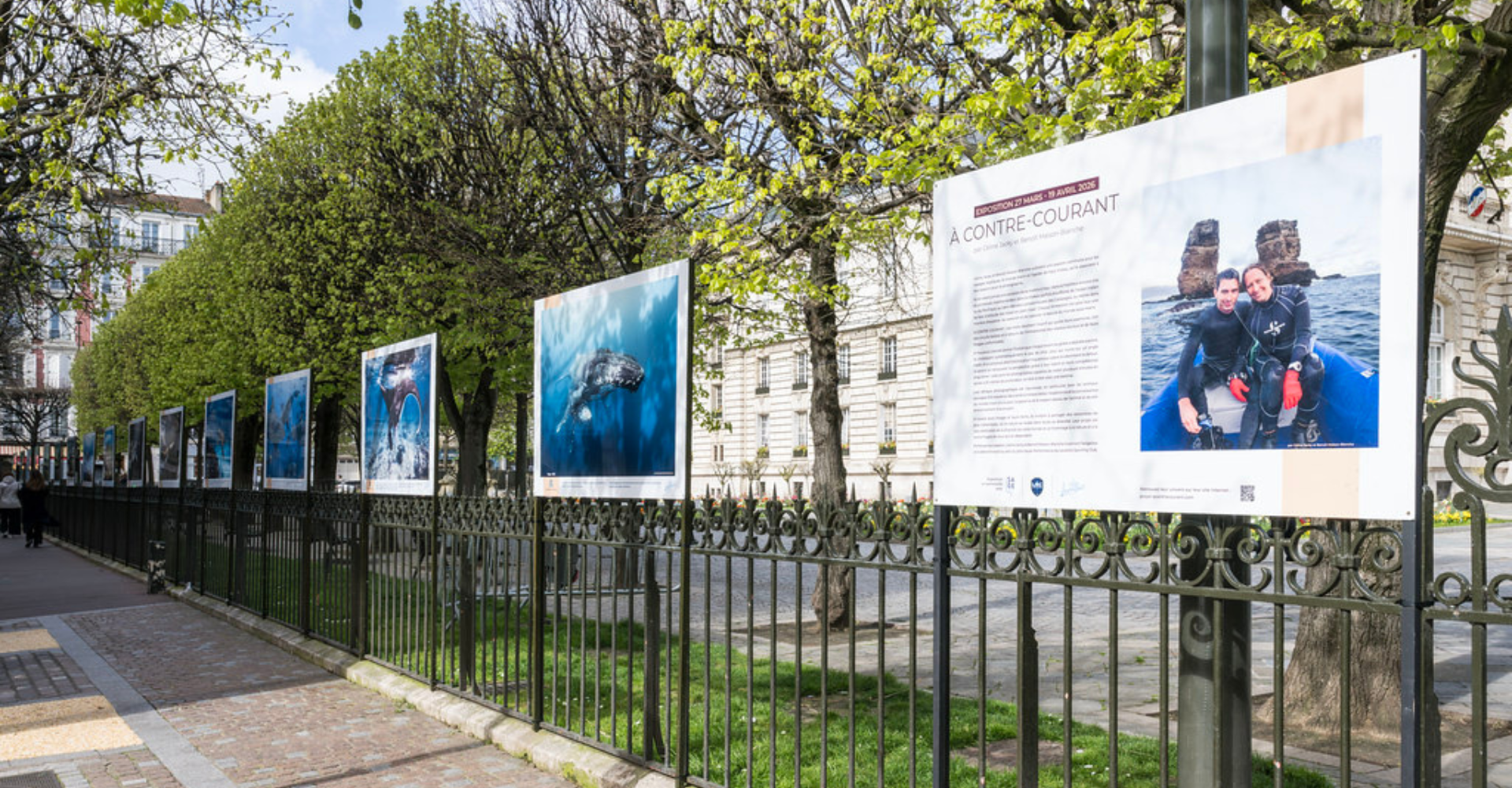 Photo contre courant